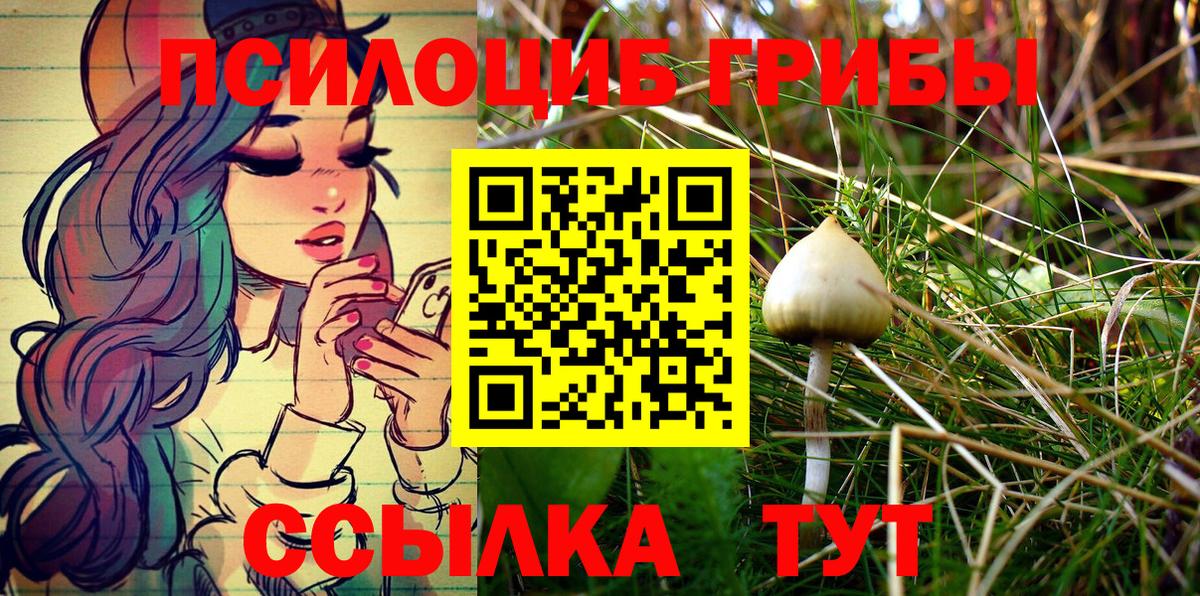 Родники  Галлюциногенные грибы мицелий  Вход с VPN 